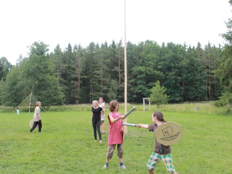 Vikingové