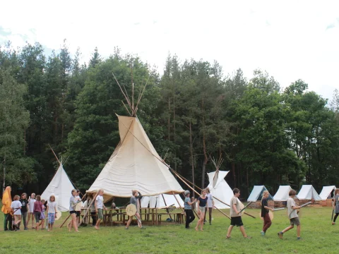 Vikingové