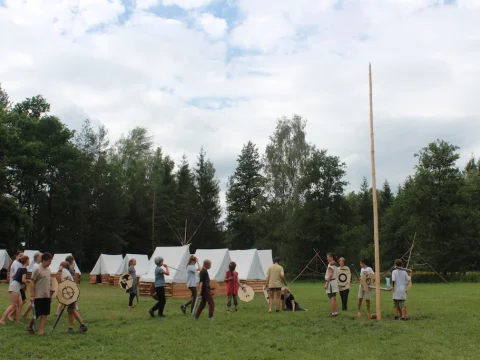 Vikingové