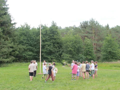 Vikingové