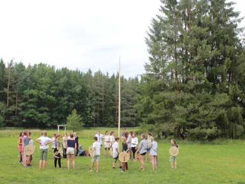 Vikingové