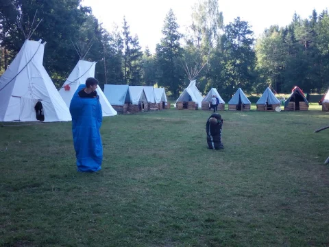 Vikingové