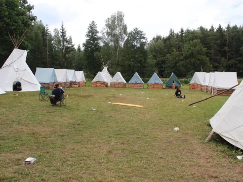 Vikingové