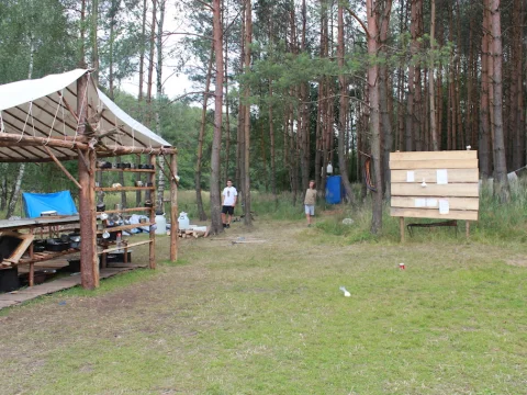 Vikingové