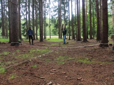 Vikingové