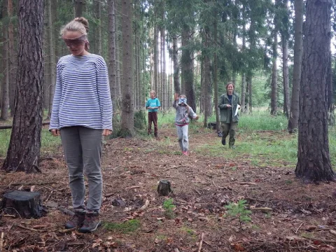 Vikingové