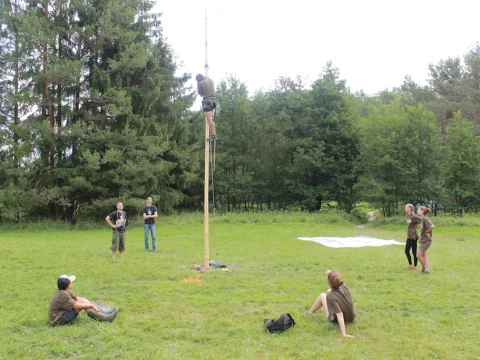 Vikingové