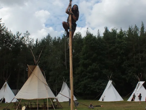 Vikingové