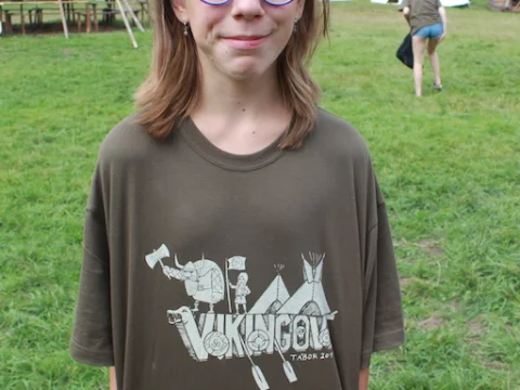 Vikingové