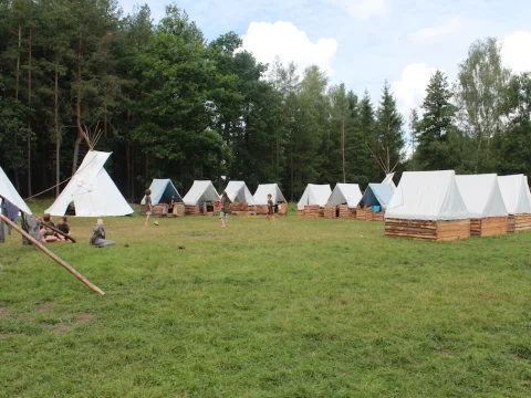 Vikingové