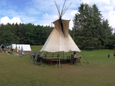 Vikingové