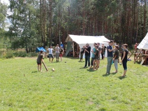 Vikingové