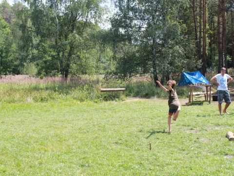 Vikingové