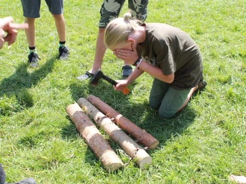 Vikingové