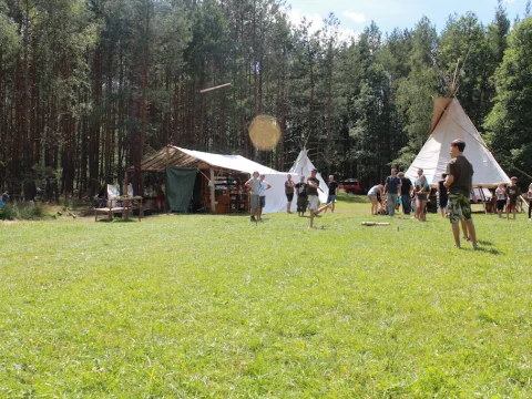 Vikingové