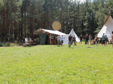 Vikingové