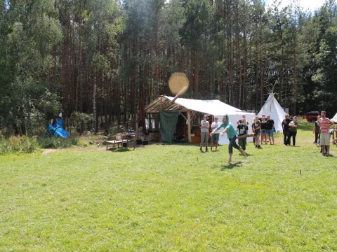 Vikingové