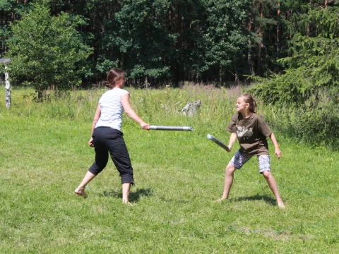 Vikingové
