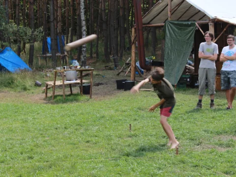 Vikingové