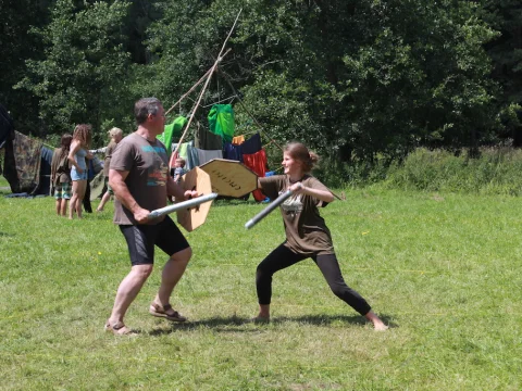 Vikingové