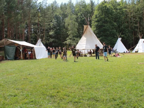 Vikingové