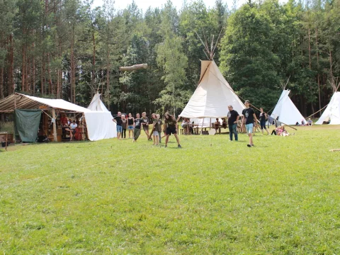 Vikingové