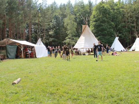 Vikingové