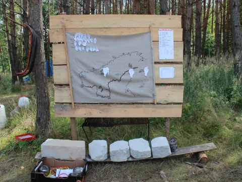 Vikingové