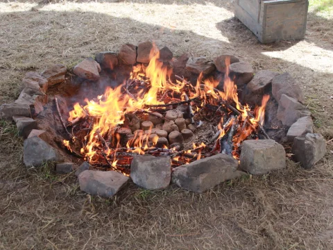 Vikingové