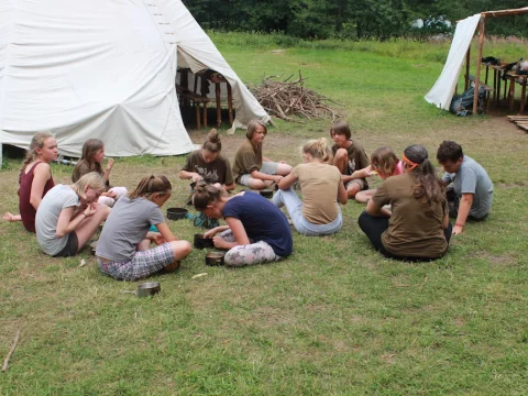 Vikingové