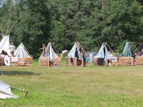 Vikingové