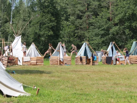 Vikingové