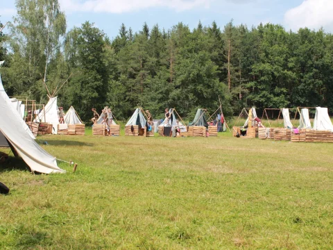Vikingové