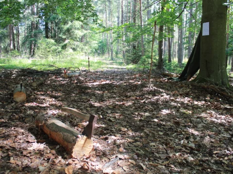Vikingové