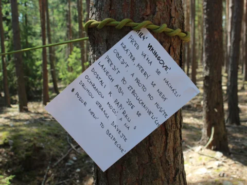 Vikingové