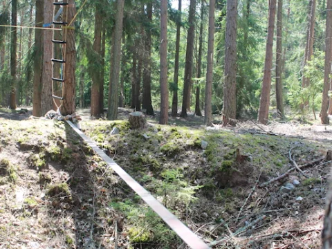 Vikingové