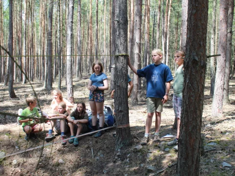 Vikingové