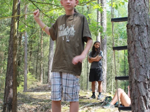 Vikingové