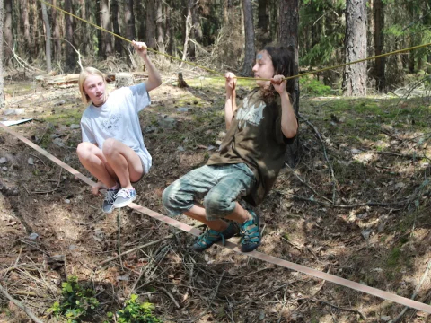 Vikingové