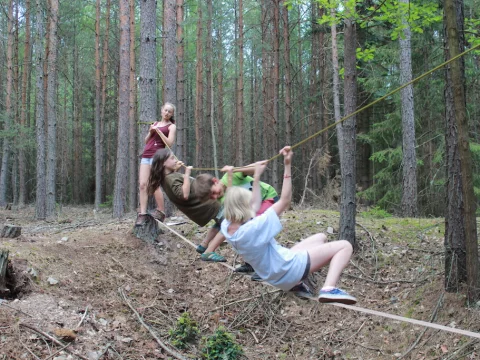 Vikingové