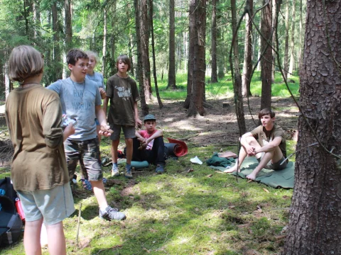Vikingové