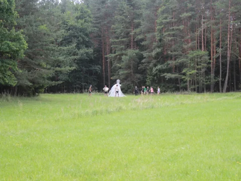 Vikingové