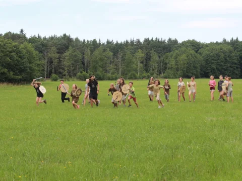 Vikingové