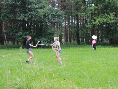 Vikingové