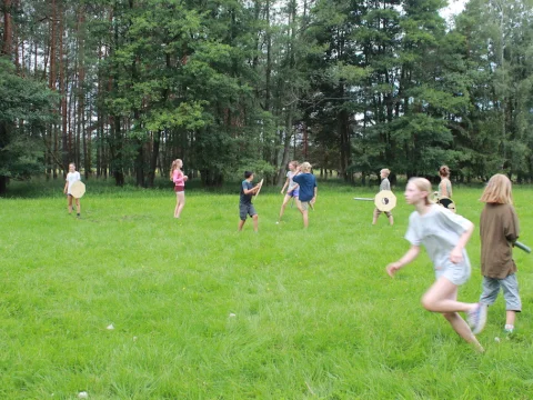 Vikingové
