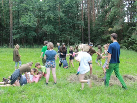 Vikingové