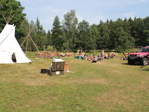 Vikingové