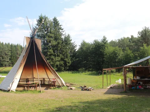 Vikingové