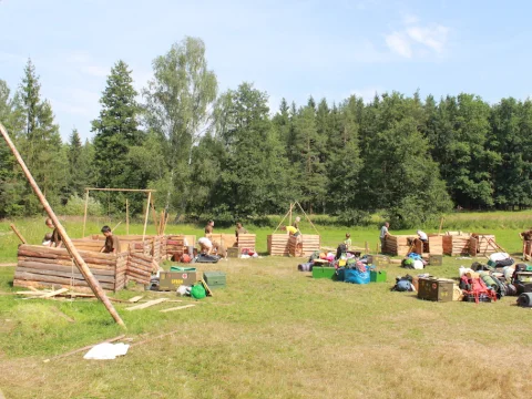 Vikingové