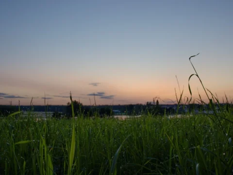 Tábor